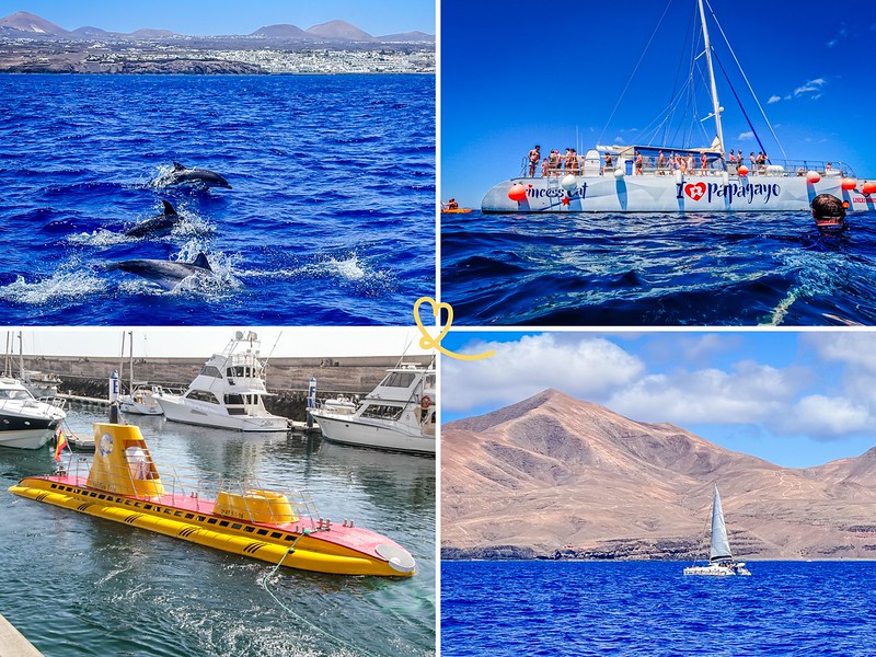 best boat excursions lanzarote tour catamaran outing