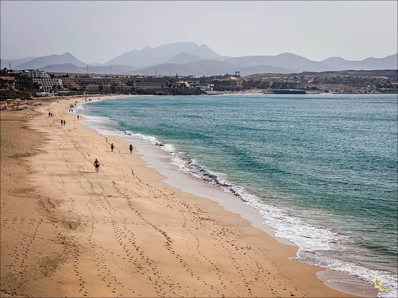 Entdecken Sie den großen Strand von Costa Calma, ein idealer Ort für Wassersportarten!
