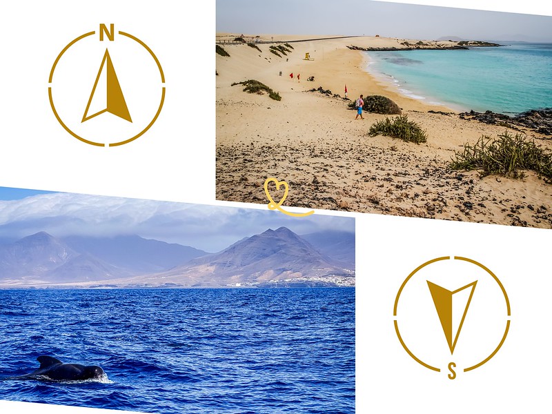dónde ir a Fuerteventura norte o sur