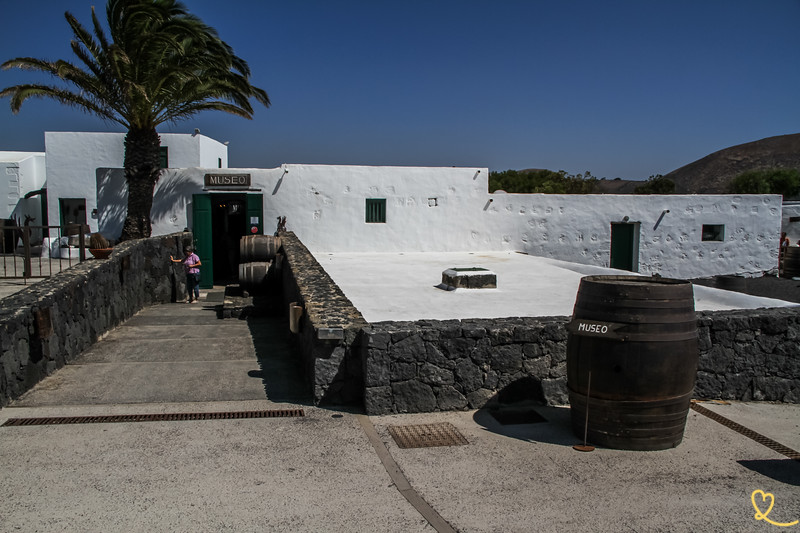 Bezoek El Grifo wijngaard museum Lanzarote