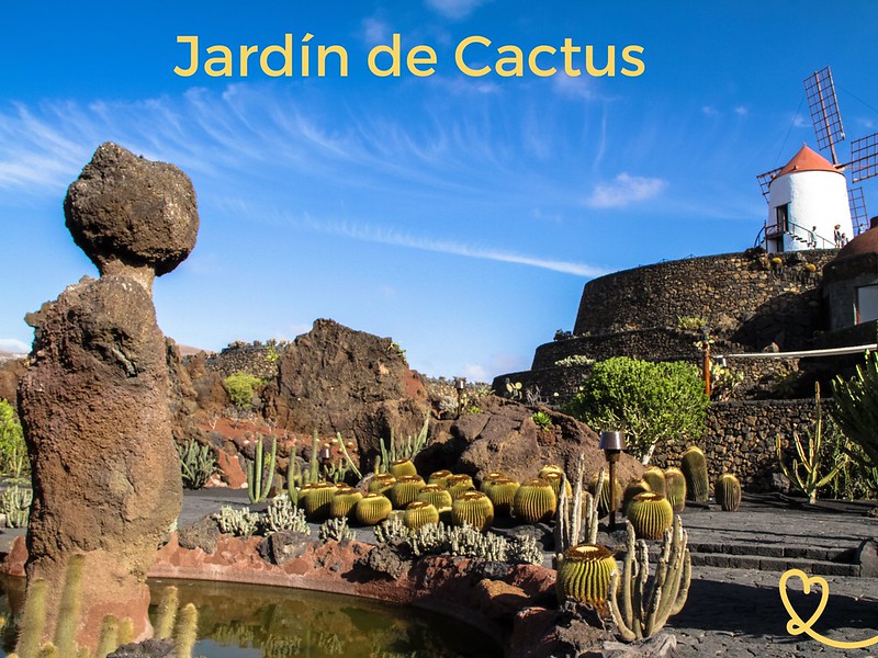 visite el jardín de cactus de lanzarote