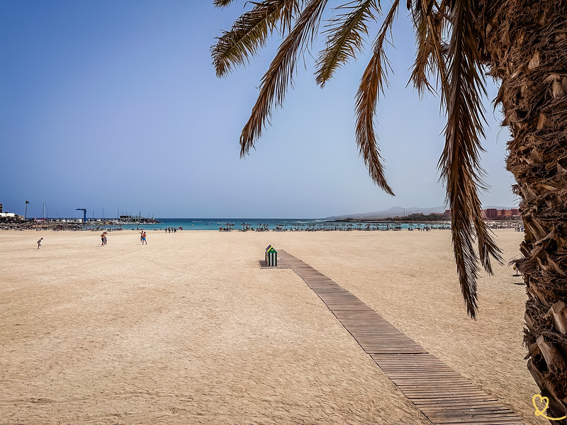 Se vores råd og tips til at nyde Playa del Castillo i Caleta de Fuste!