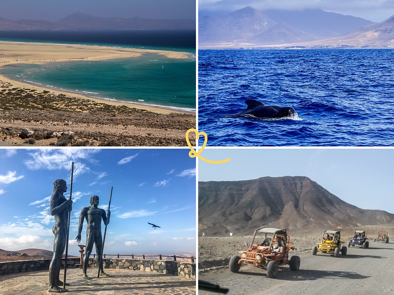 Hvad skal man lave og se på Fuerteventura?