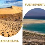 Gran Canaria eller Fuerteventura