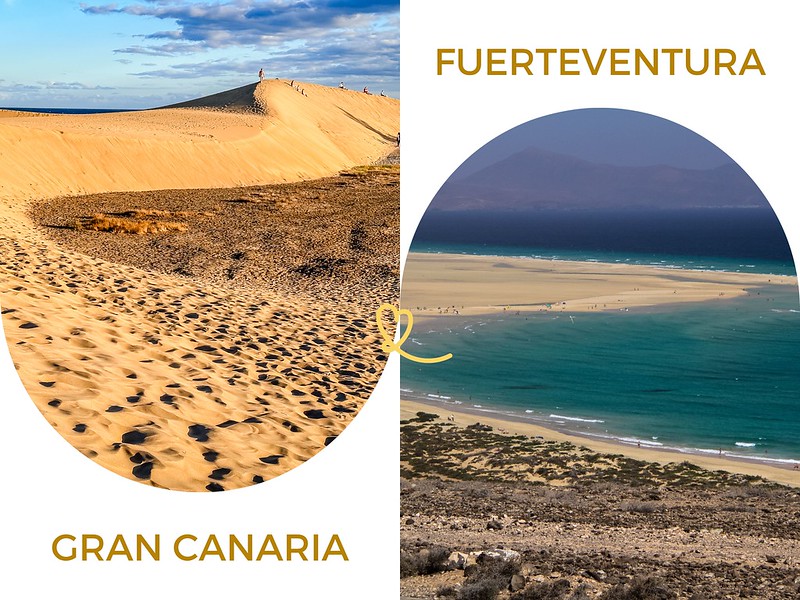 Gran Canaria oder Fuerteventura