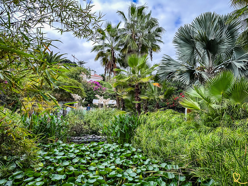 Read our article on the Sitio Litre Garden in Puerto de la Cruz, north of Tenerife!