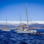 best-boat-trips-morro-jable-dolphins