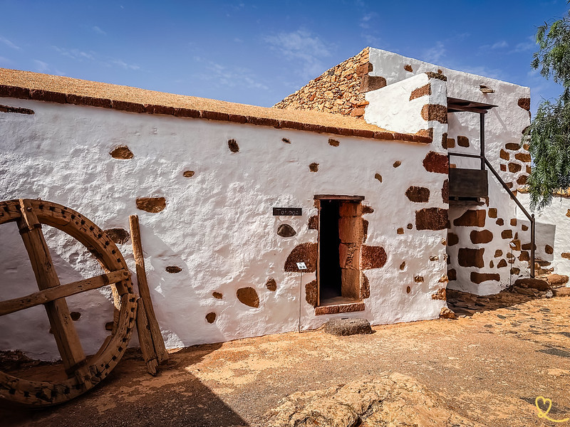 visitar museo la alcogida fuerteventura